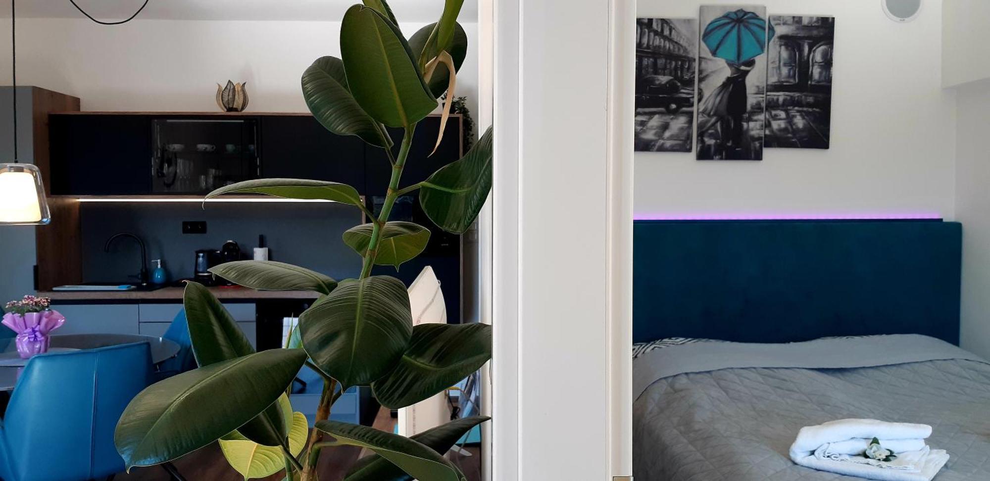 Apartman Besen 307 Besenova Luaran gambar